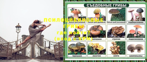 трава Алексин
