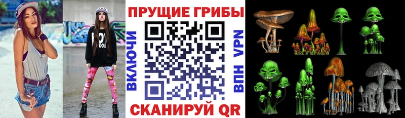 darknet наркотические препараты Балашов Галлюциногенные грибы мицелий наркота ссылка на мегу ссылка